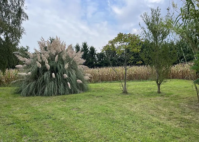 L'oiselière - Campagne - Proche Circuit - 5p Hébergement de vacances